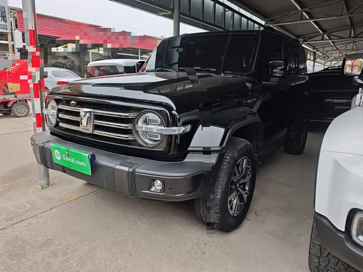 Фото 2 - Tank 300