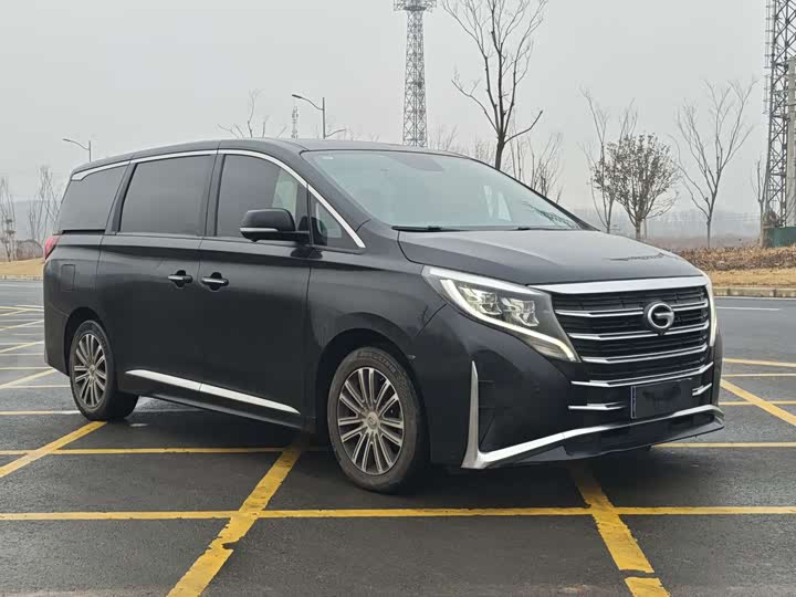 Фото 1 - GAC Trumpchi M8