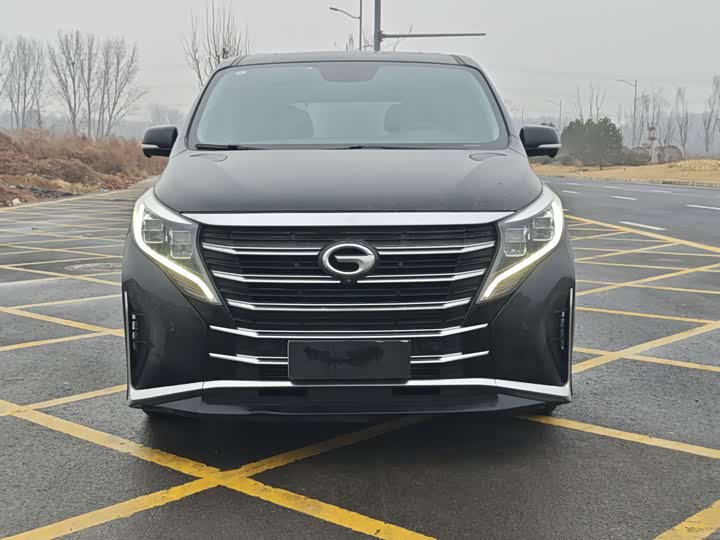 Фото 2 - GAC Trumpchi M8