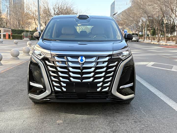 Фото 2 - Denza D9