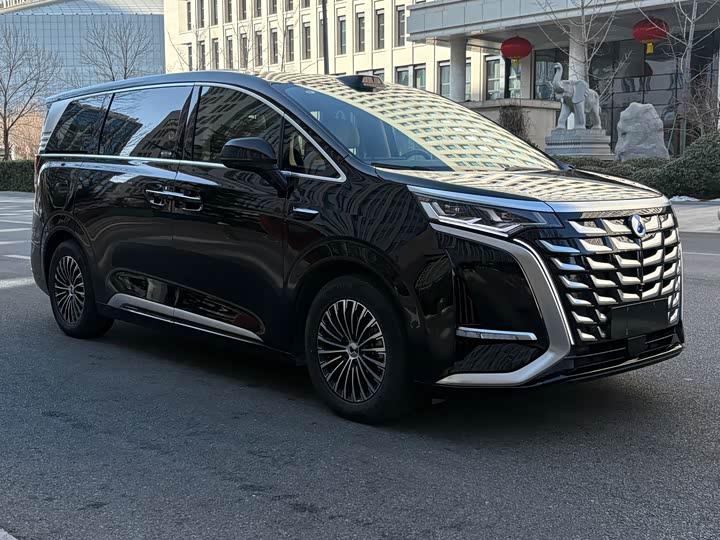 Фото 3 - Denza D9