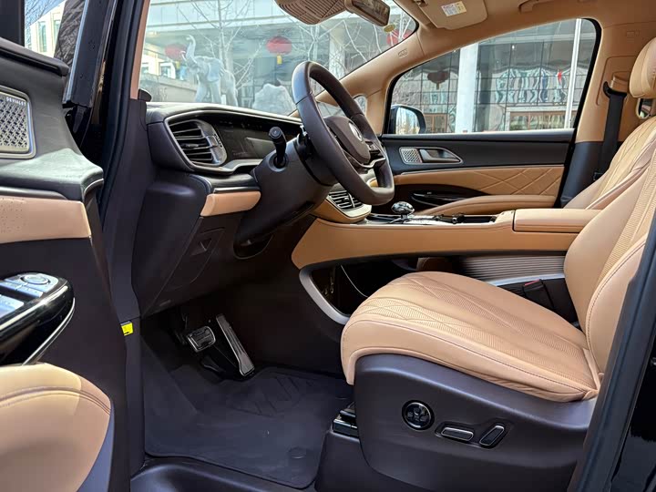 Фото 8 - Denza D9