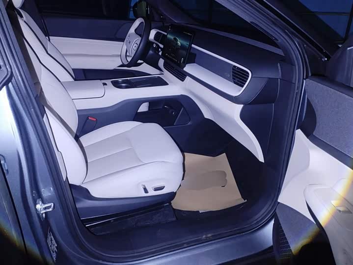 Фото 8 - XPeng G6