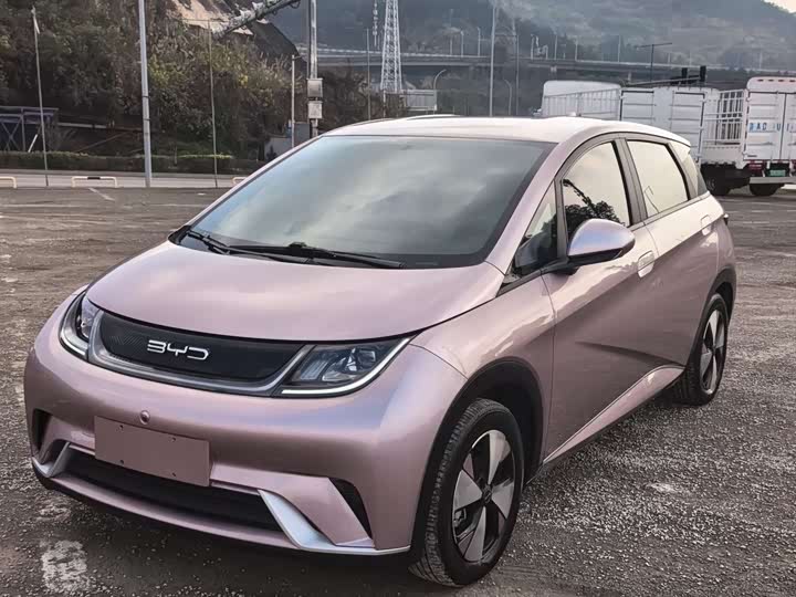 Фото 1 - BYD Dolphin