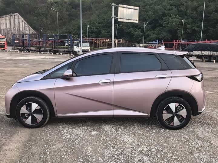 Фото 3 - BYD Dolphin