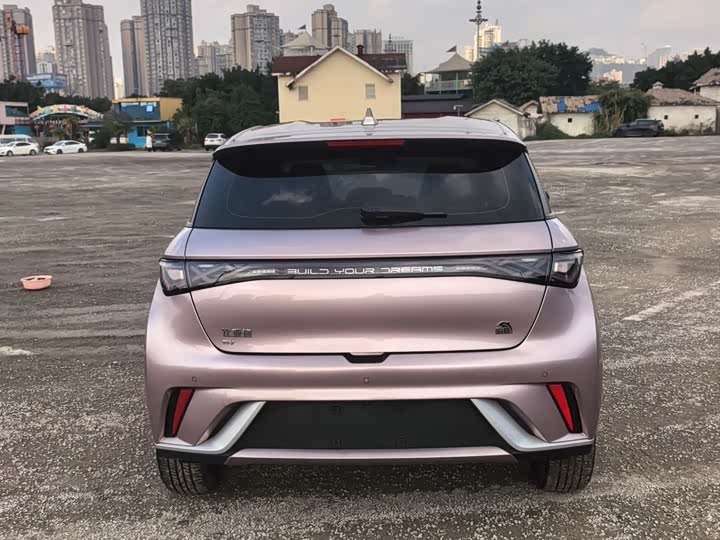 Фото 4 - BYD Dolphin