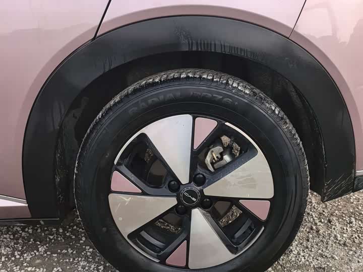 Фото 7 - BYD Dolphin