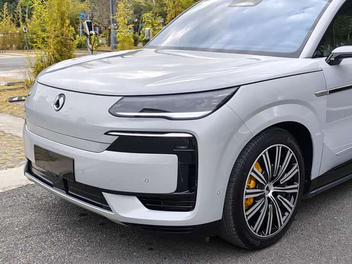 Фото 9 - Denza N9