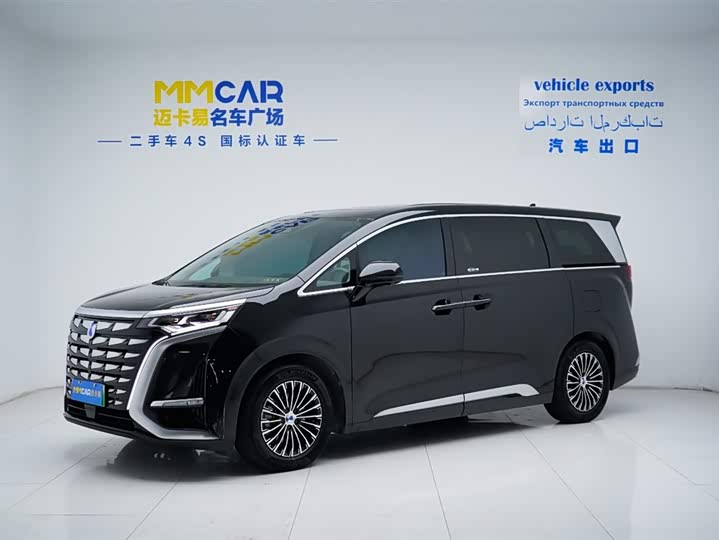 Фото 1 - Denza D9