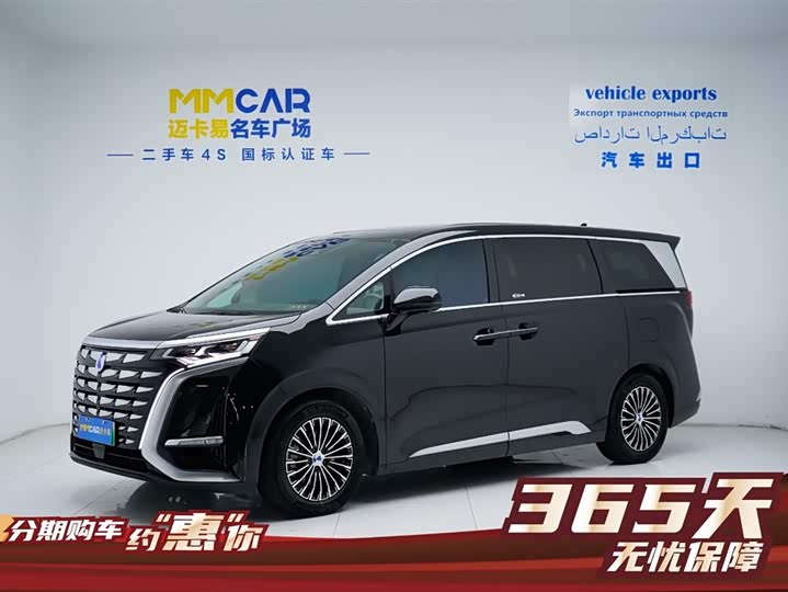 Фото 2 - Denza D9