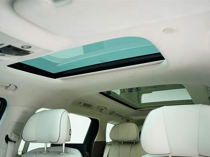 Фото 6 - Denza D9