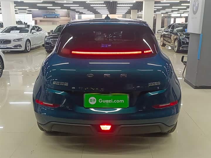 Фото 6 - Ora Good Cat (03)