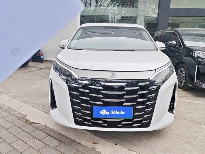 Фото 2 - BYD Xia