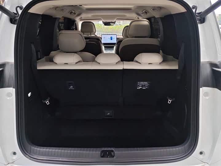 Фото 4 - BYD Xia