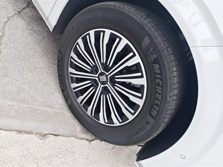 Фото 6 - BYD Xia