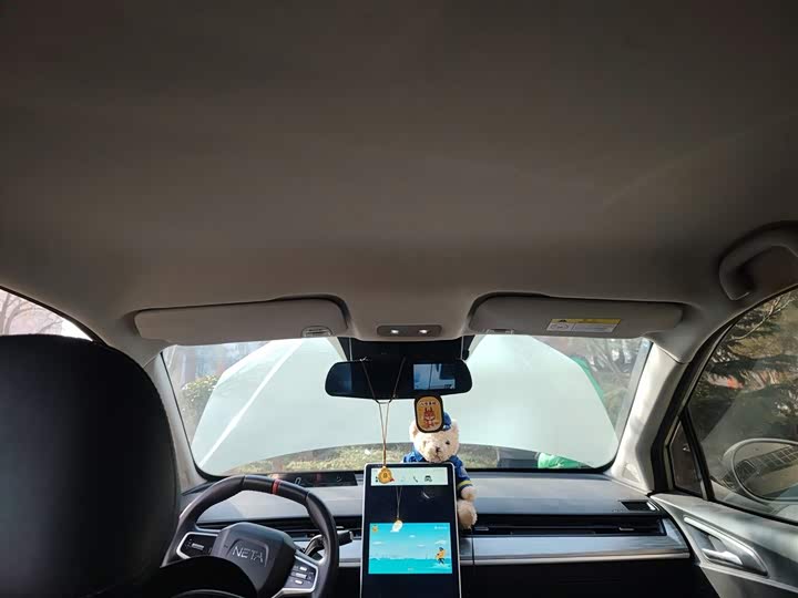 Фото 9 - Hozon V