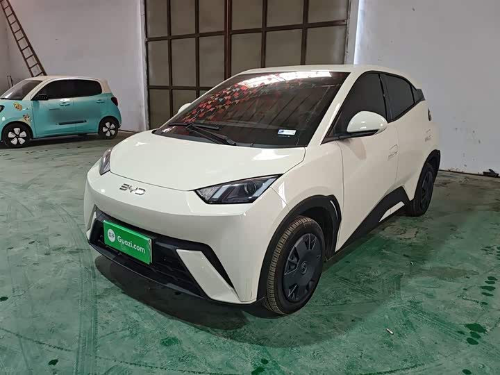 Фото 2 - BYD Seagull