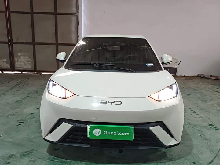 Фото 3 - BYD Seagull