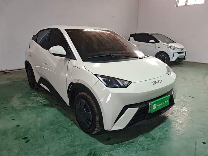 Фото 4 - BYD Seagull