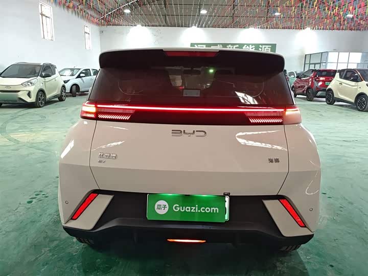 Фото 6 - BYD Seagull