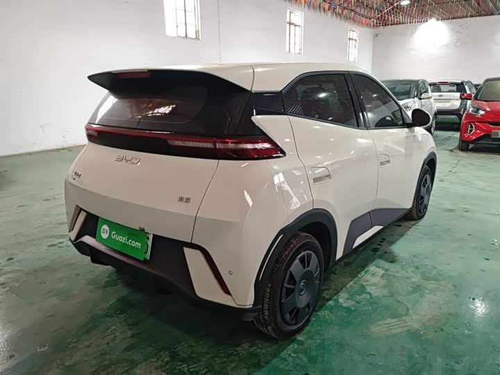 Фото 7 - BYD Seagull