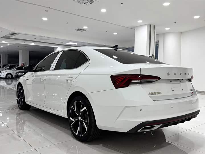 Фото 4 - Skoda Octavia Pro