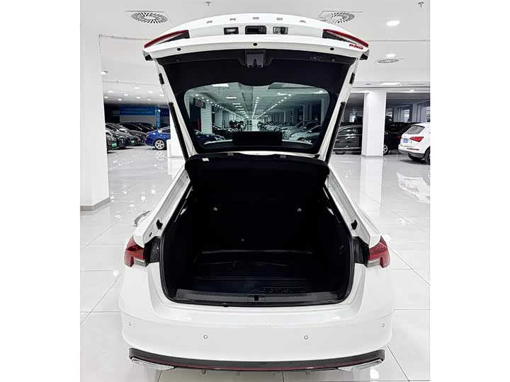 Фото 8 - Skoda Octavia Pro