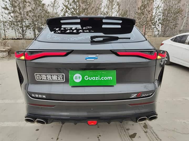 Фото 6 - Changan Oshan Z6