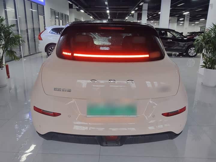 Фото 6 - Ora Good Cat (03)