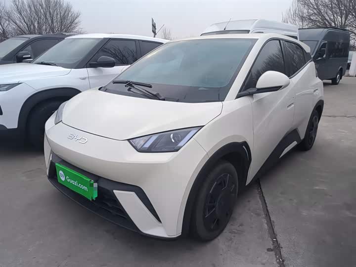 Фото 2 - BYD Seagull