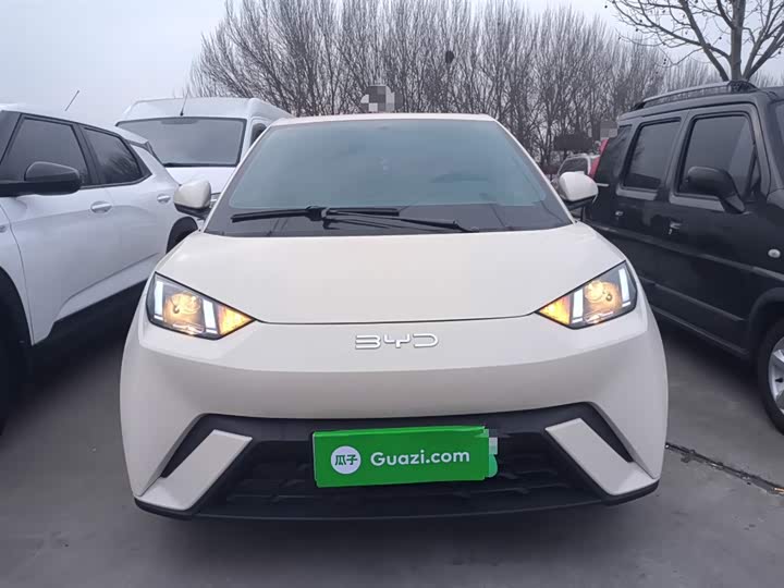 Фото 3 - BYD Seagull