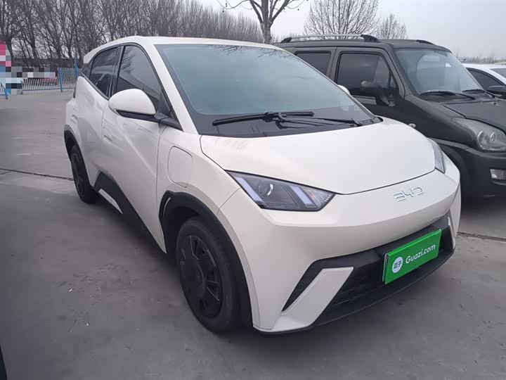 Фото 4 - BYD Seagull