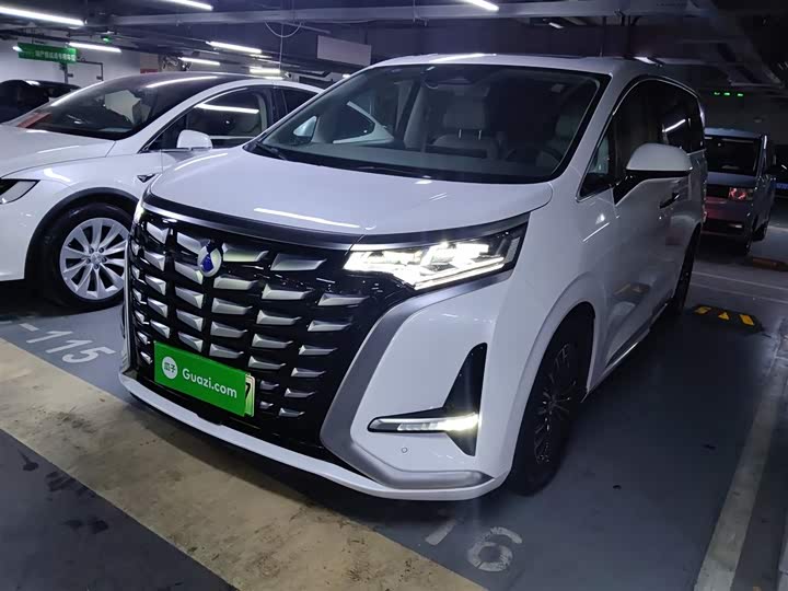 Фото 1 - Denza D9