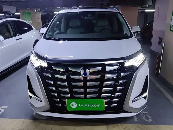 Фото 3 - Denza D9