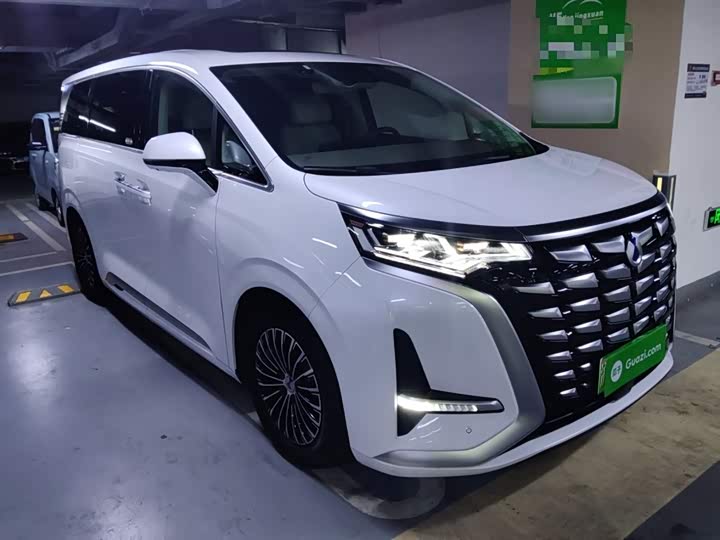 Фото 4 - Denza D9