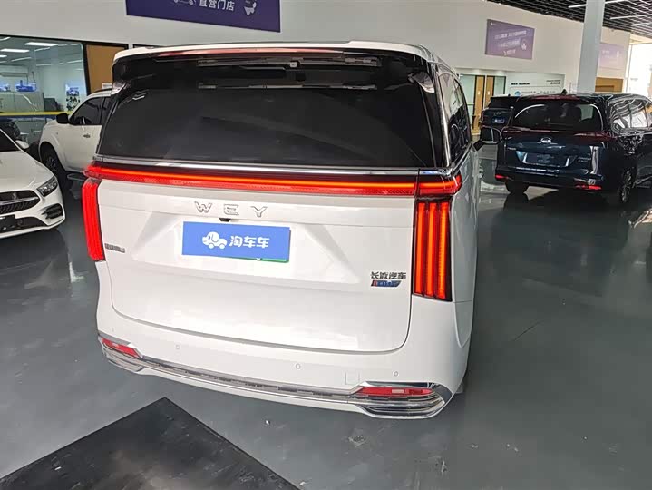 Фото 3 - Wey Gaoshan