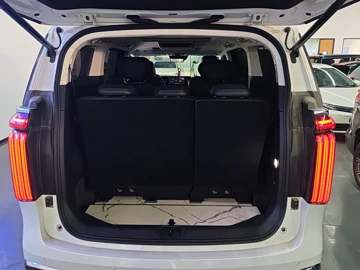 Фото 4 - Wey Gaoshan