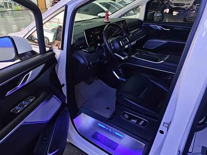 Фото 9 - Wey Gaoshan