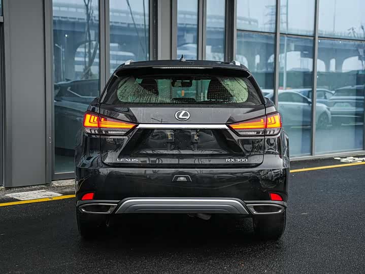 Фото 5 - Lexus RX