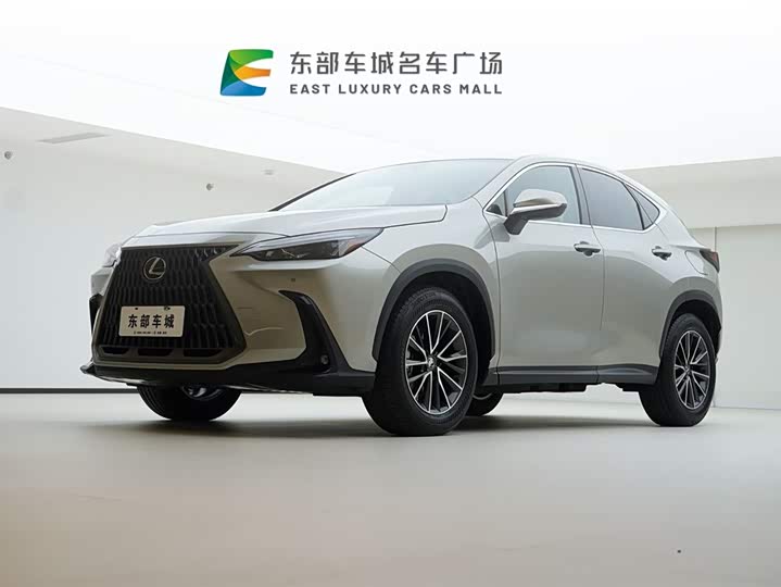 Фото 1 - Lexus NX