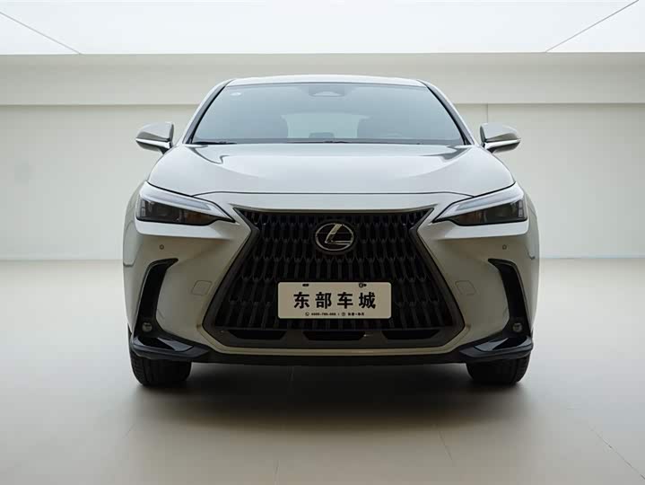 Фото 2 - Lexus NX