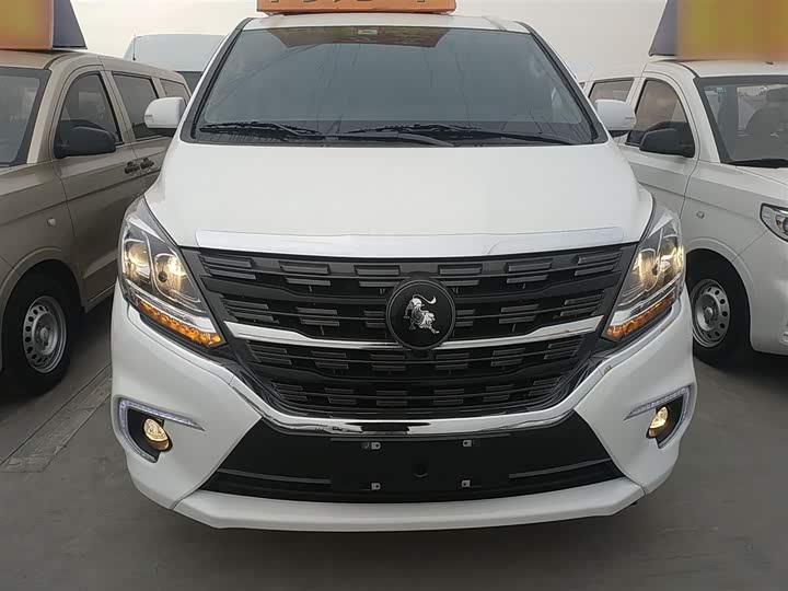 Фото 3 - Dongfeng Forthing M7