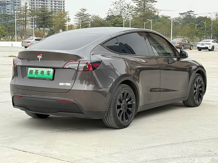Фото 4 - Tesla Model Y