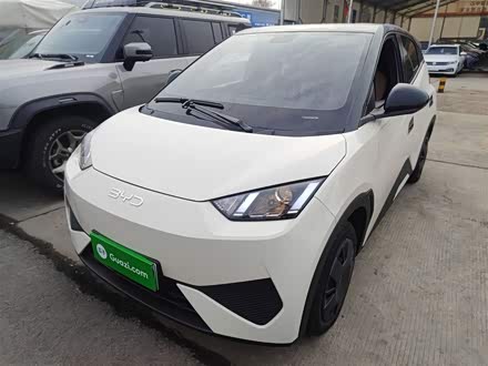 Фото 1 - BYD Seagull