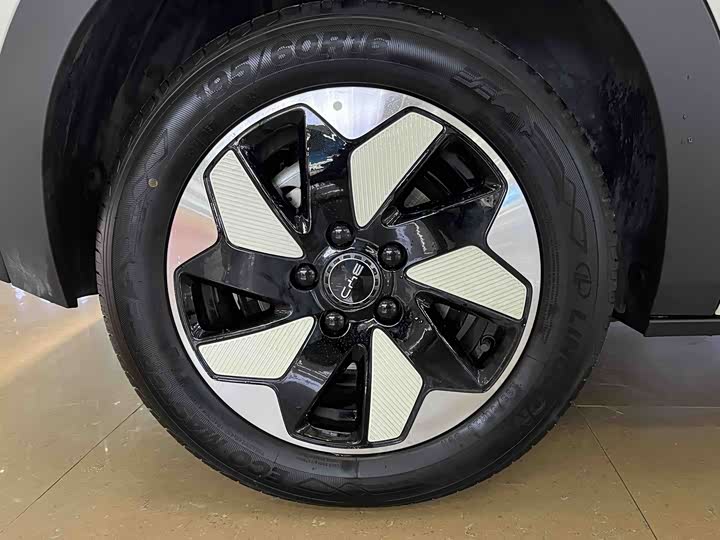 Фото 8 - BYD Dolphin