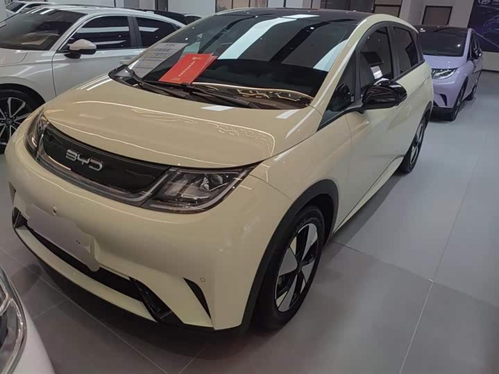 Фото 1 - BYD Dolphin