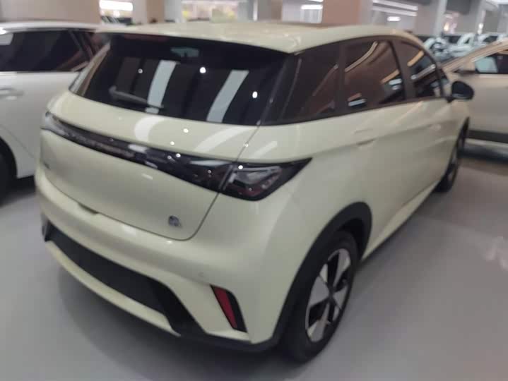 Фото 3 - BYD Dolphin