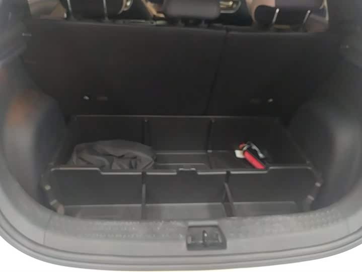 Фото 4 - BYD Dolphin