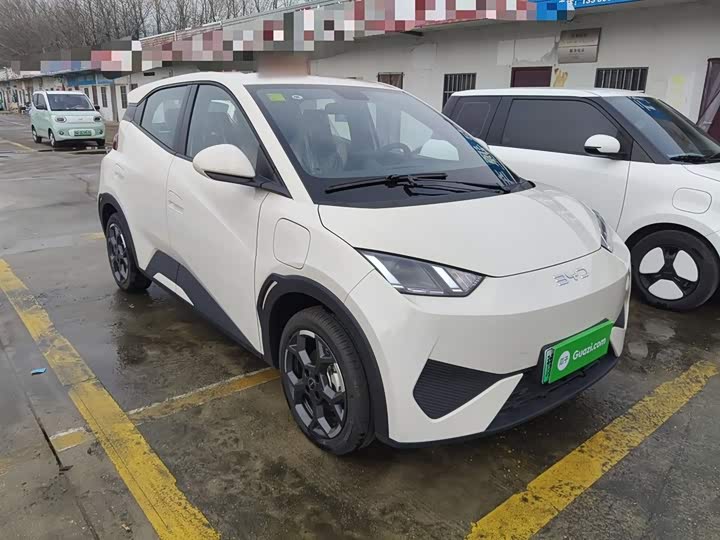 Фото 4 - BYD Seagull