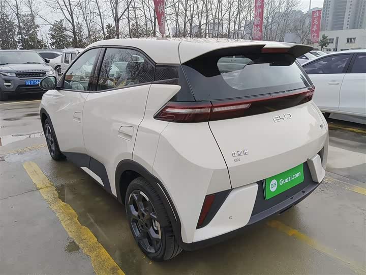 Фото 5 - BYD Seagull